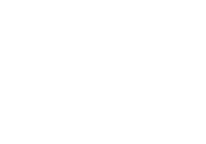 archiwiz